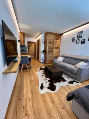 Cozy studio apartment (110)